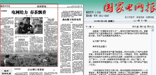 《国家电网报》六版头条:电网给力 春茶飘香