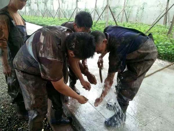 “泥人”电工 为了谁？ 