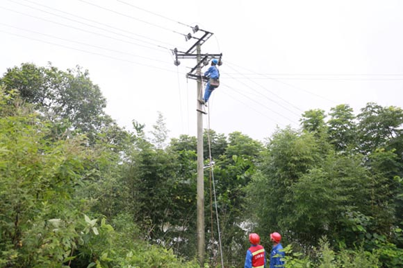 百亩鱼塘冒出欢快的水花
