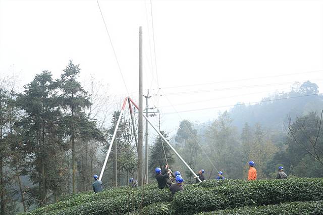 乐山：茶乡农网改造忙 