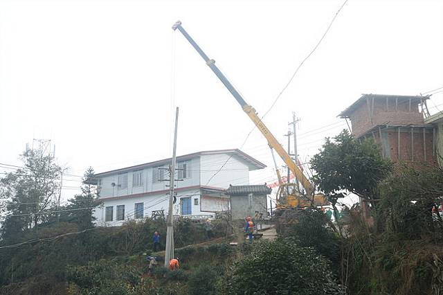乐山：茶乡农网改造忙 