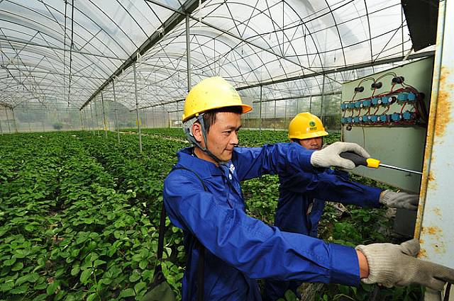 成都:用心服务 电靓蔬乡