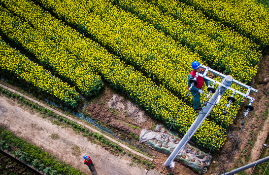 乡村振兴路上电网企业大有作为