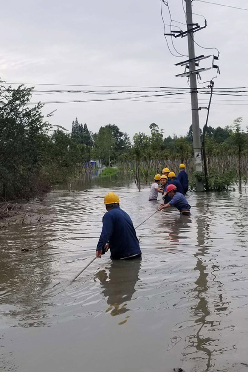 公司有序应对特大暴雨和洪灾