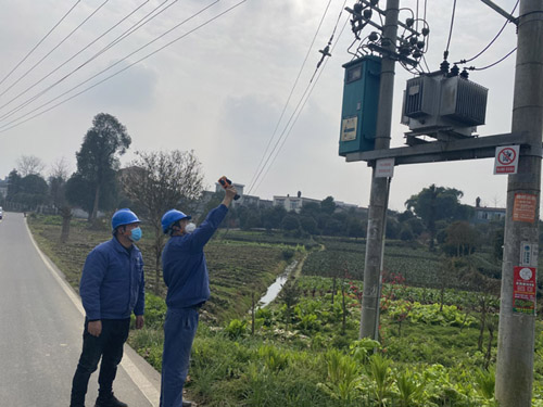 【抗击疫情】供电服务不断 春茶上市不误