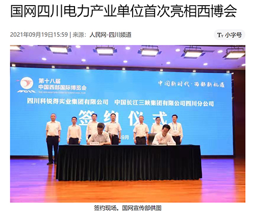 人民网电力产业.jpg