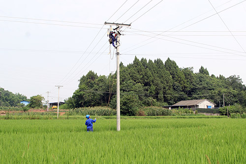 《川观新闻》:高温天 眉山电力人用汗水“浇筑”城市建设3.jpg