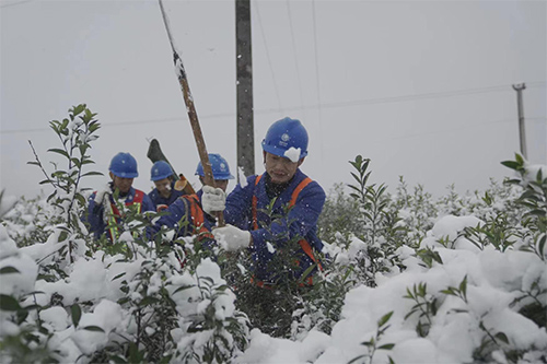 1.24 泸州公司.jpg