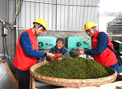 3.20 眉山公司.jpg