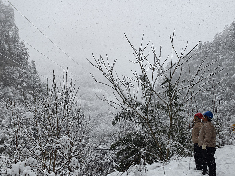 4.3 岷江公司.jpg