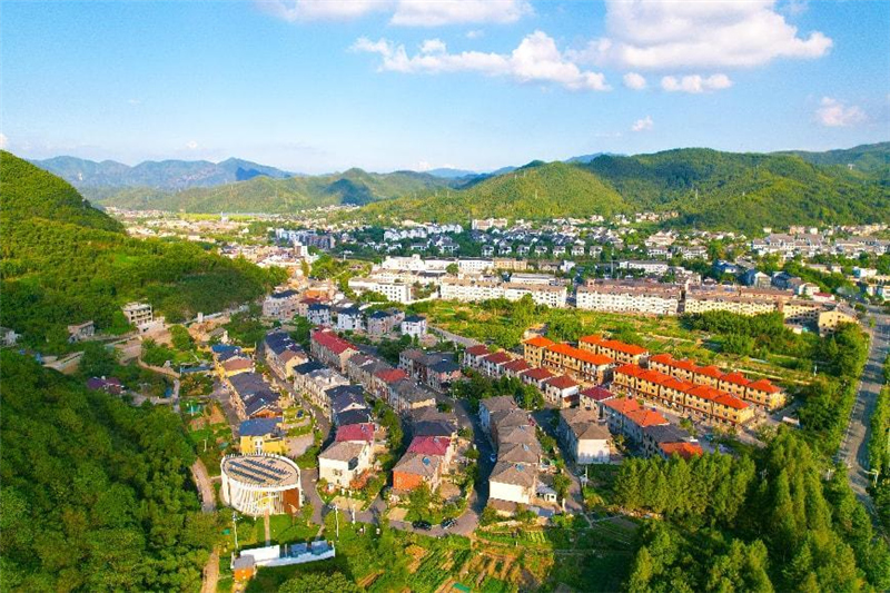 国家电网：践行“两山”理念 赋能美丽中国