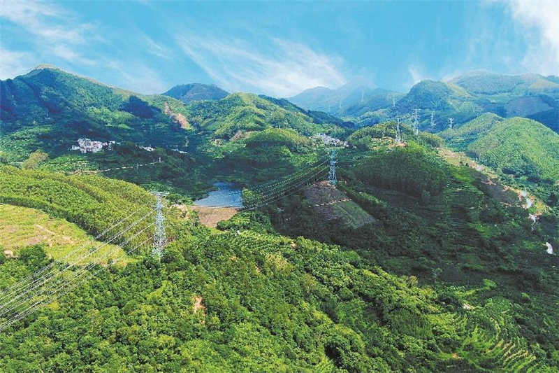 国家电网：践行“两山”理念 赋能美丽中国