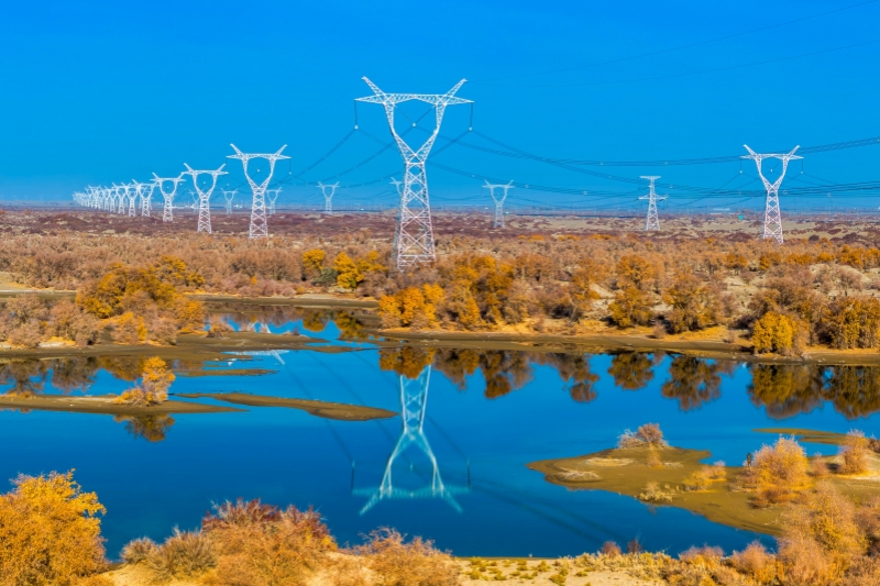 沿着总书记的足迹｜电力服务赋能新疆特色产业发展
