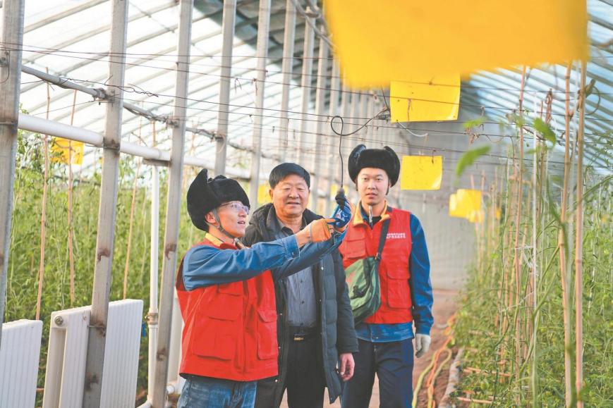 沿着总书记的足迹｜电力服务赋能新疆特色产业发展