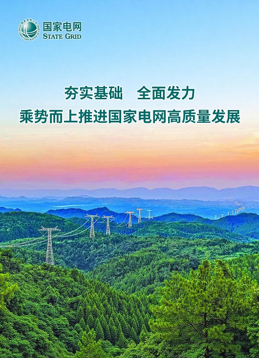 夯实基础 全面发力 乘势而上推进国家电网高质量发展