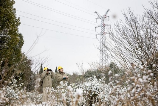 战寒潮保供电 守护民生温度