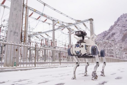 战寒潮保供电 守护民生温度