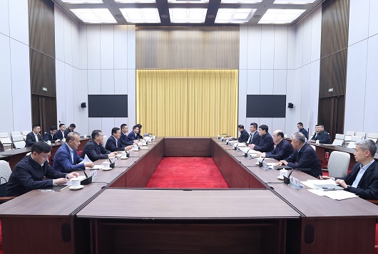 国家电网与国家电投集团举行会谈
