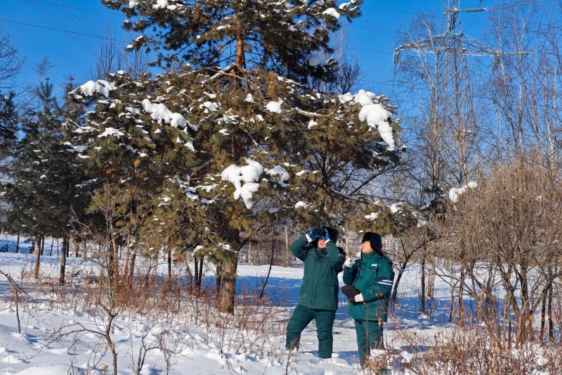 新春走基层｜踏雪长白山守护输电线路安全