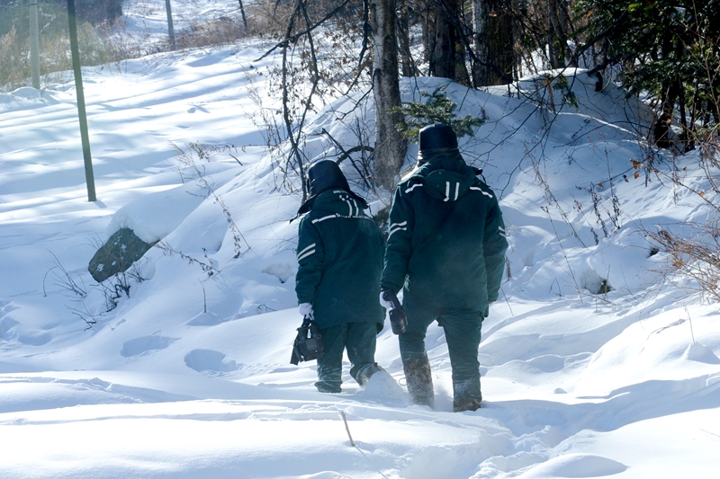 新春走基层｜踏雪长白山守护输电线路安全
