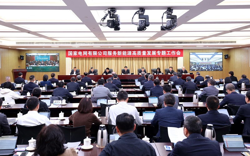 公司召开服务新能源高质量发展专题工作会