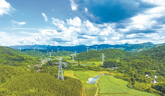 公司党组传达学习习近平总书记 近期重要讲话和重要指示精神