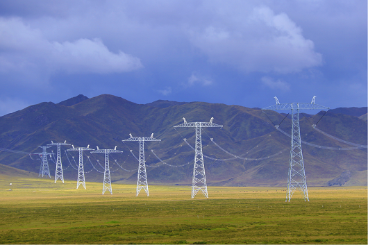 国家电网与青海省委省政府举行会谈