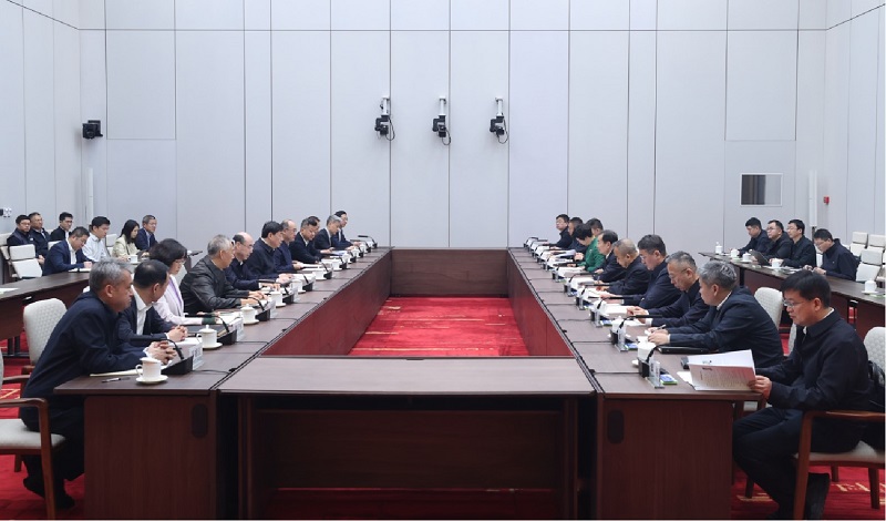 国家电网与新疆维吾尔自治区党委政府举行会谈