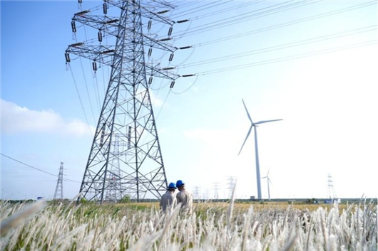 学习贯彻全国两会精神｜积极服务全面绿色转型