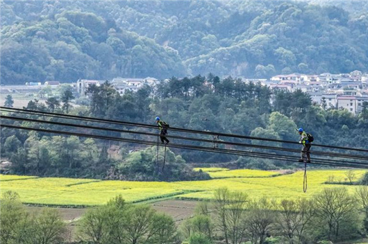 学习贯彻全国两会精神｜积极服务全面绿色转型
