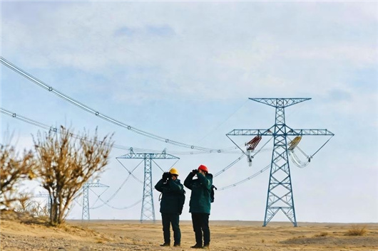 学习贯彻全国两会精神｜积极服务全面绿色转型