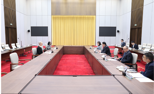 张智刚董事长会见世界能源理事会秘书长兼首席执行官安吉拉·威尔金森