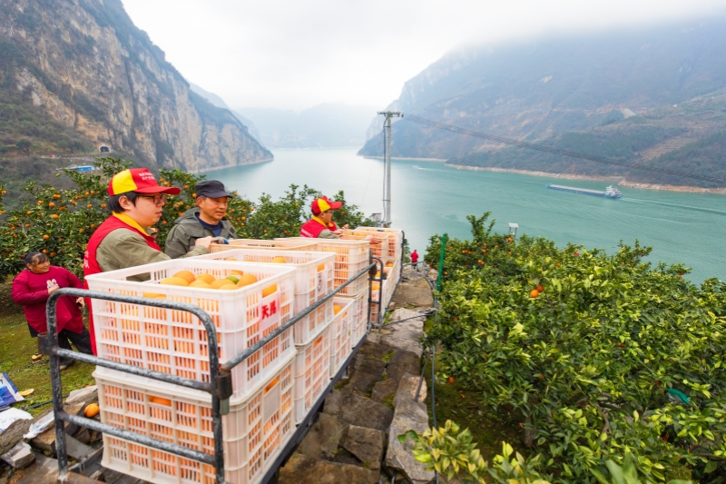 学习贯彻全国两会精神|全力服务保障和改善民生