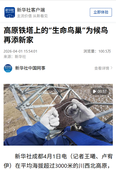 封面.png