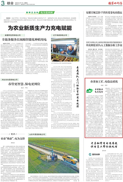 国家电网报-3版_01.jpg