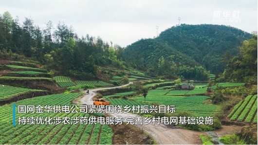 【新华社】智慧电力赋能中药材焕发新生机