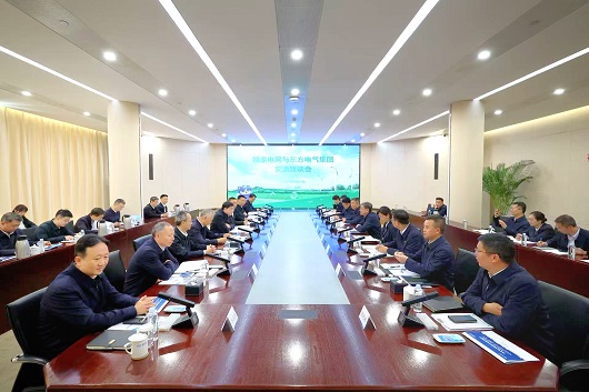 国家电网与东方电气集团举行会谈