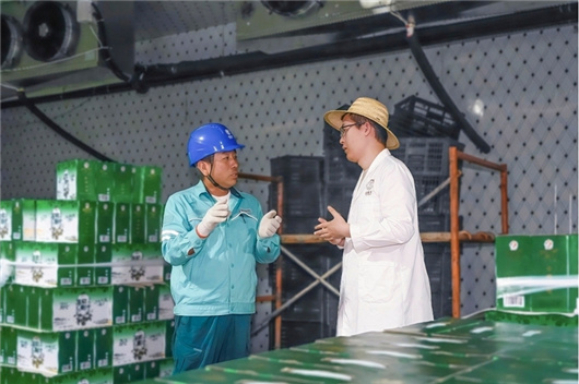 国家电网为青海高质量发展注入强劲动能