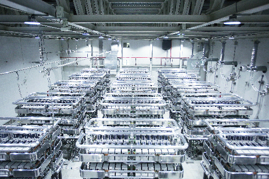 公司科技咨询委员会2026年全体会议召开